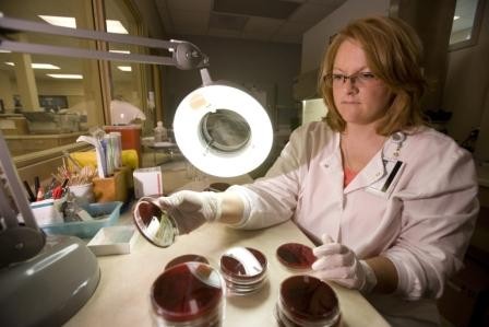 Female laboratory staff member working on a lab sample under a bright light